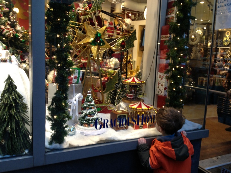 Max loved these store windows on our block