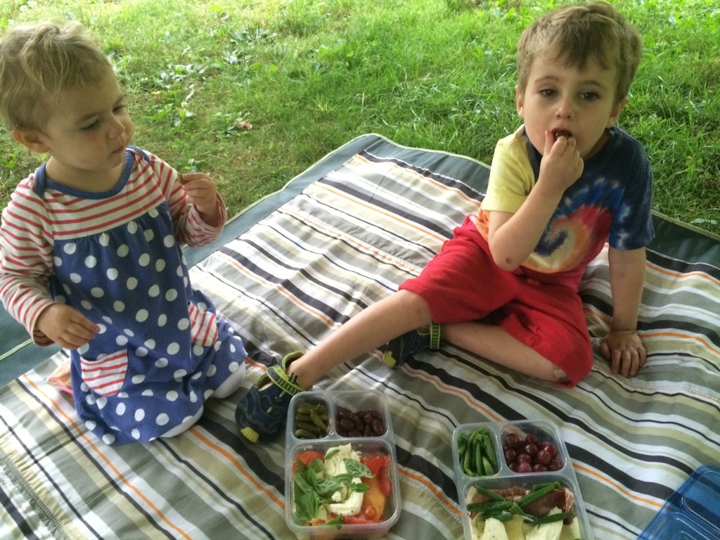 Our yummy picnic. The kids love picnics.